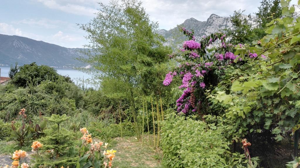 Apartment Rose Garden 리산 외부 사진